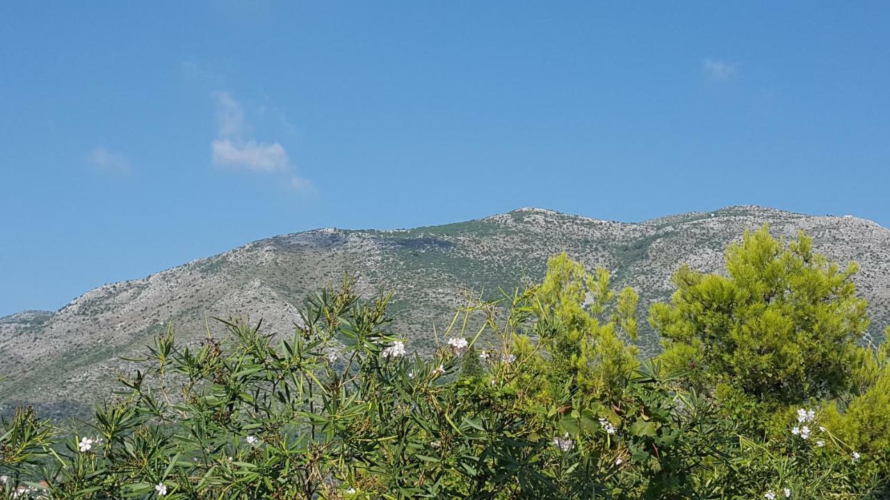 Guest House Sol Cavtat Luaran gambar